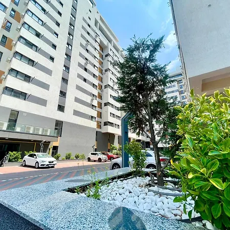 Adress Ad26 * Bucharest